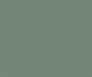 Sage Green Colour